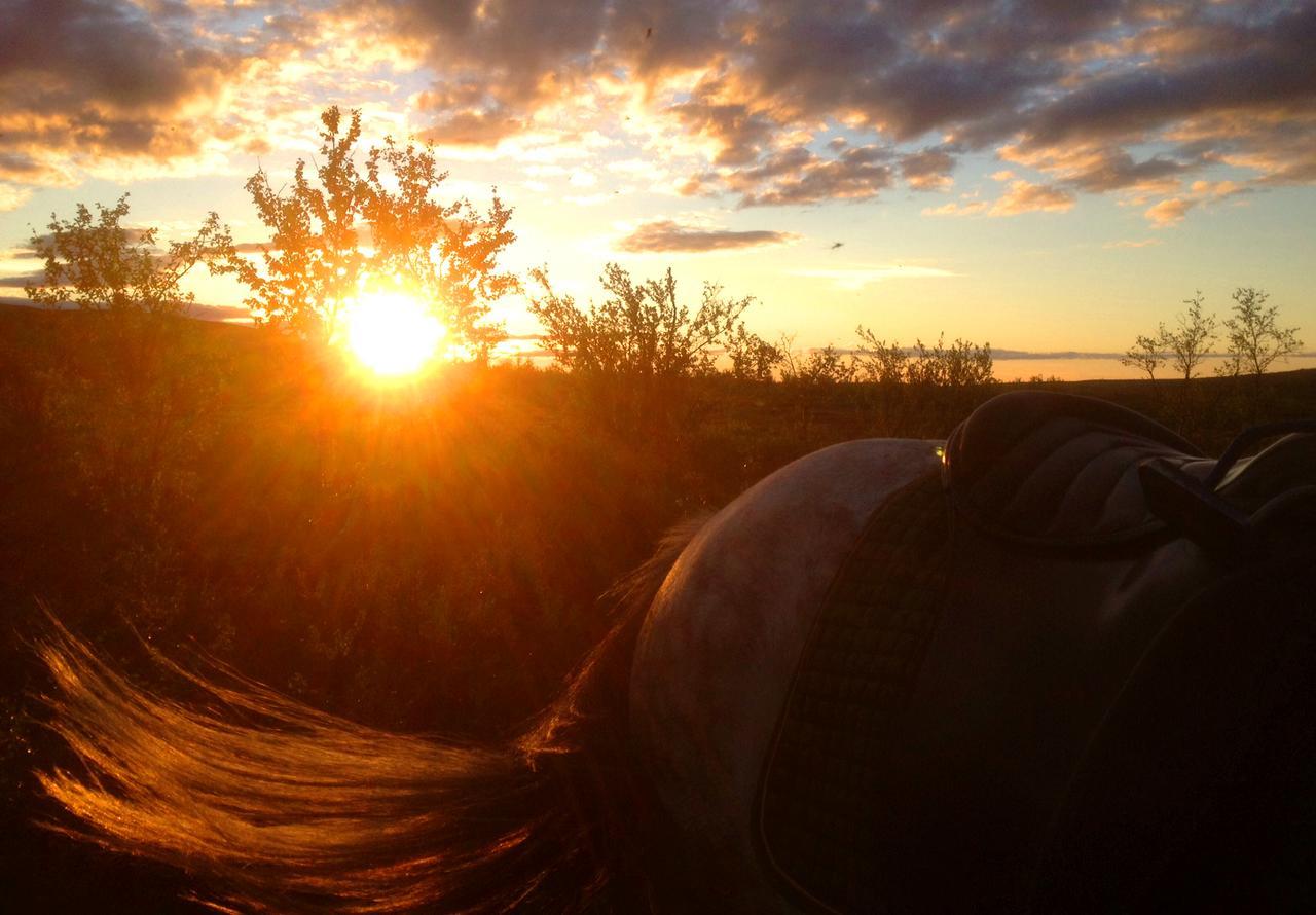 Ofelas Islandshaestar & Guideservice キルナ エクステリア 写真